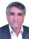حسن فاضل معاصر