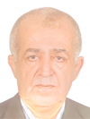 مصطفی مومن برزویی

