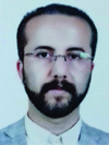 مصطفی ویسی