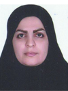 نرگس حسام